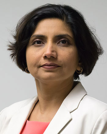 George Mason University Costello College of Business Faculty Juhi Naithani