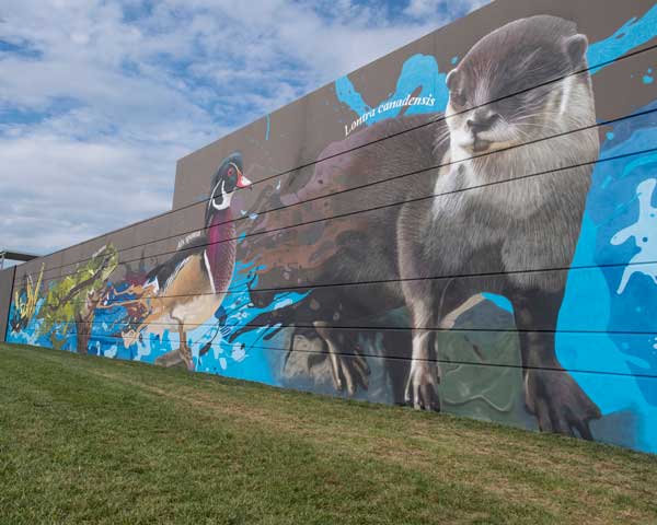 Mural depicting native species otters, frogs, and turtles on an outdoor wall at George Mason University's Potomac Science Center