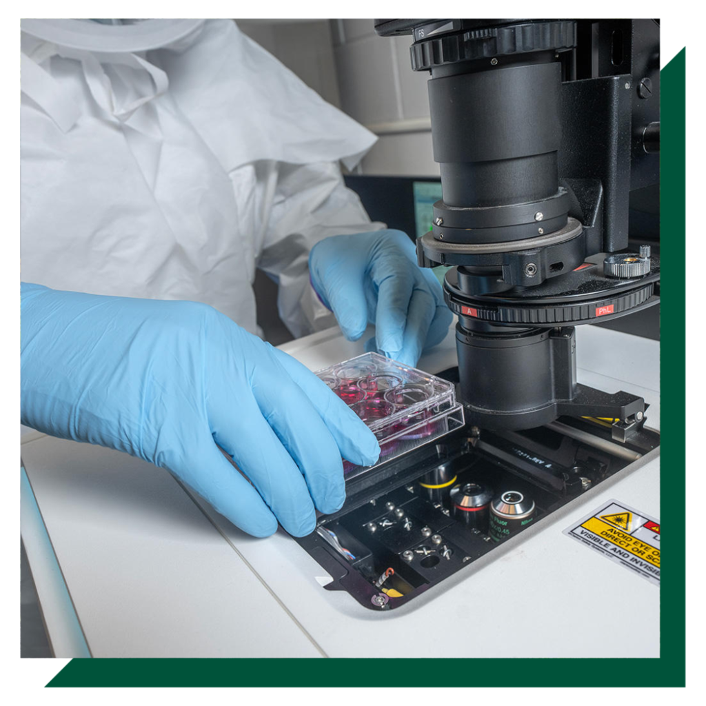 A researcher moves a tray of samples under a high tech microscope.