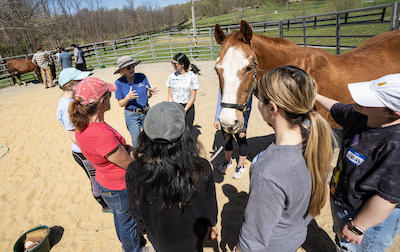 Students outside standing around a horse
