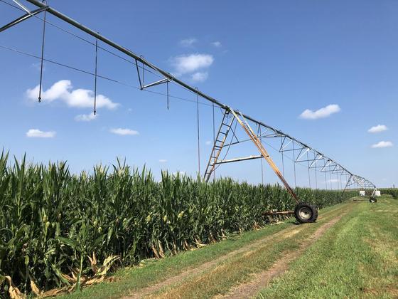 Photo of crop irrigation system being used over a corn field
