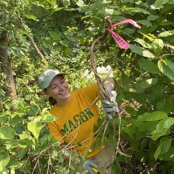 A student in a Mason T-shirt removes invasive plants from the brush around the Potomac Science Center